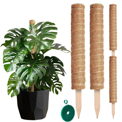 DIMROM moss pole 15-75 inch stackable Monstera climber supports upward growth and tidy aesthetics.