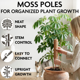DIMROM moss pole connects easily to form taller support as plants grow.