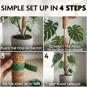 DIMROM fixation strip keeps climbing stems in place.