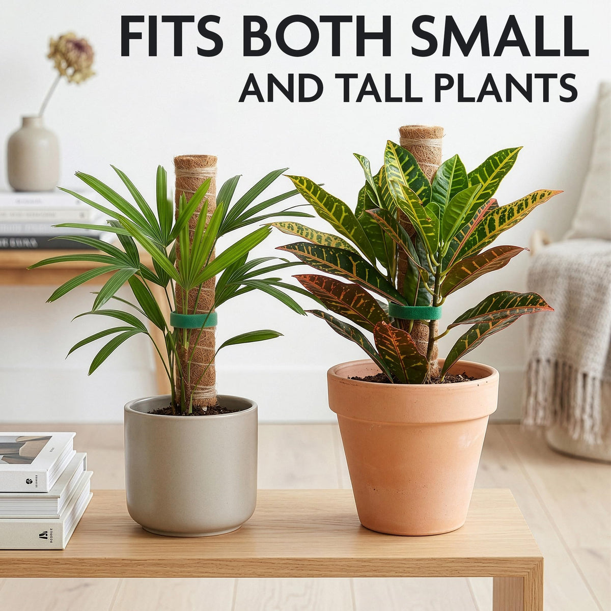 DIMROM stackable design saves space while expanding climbing garden options.