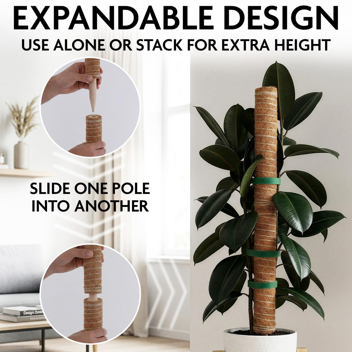 DIMROM plant-mount-friendly kit blends with indoor decor while supporting growth.