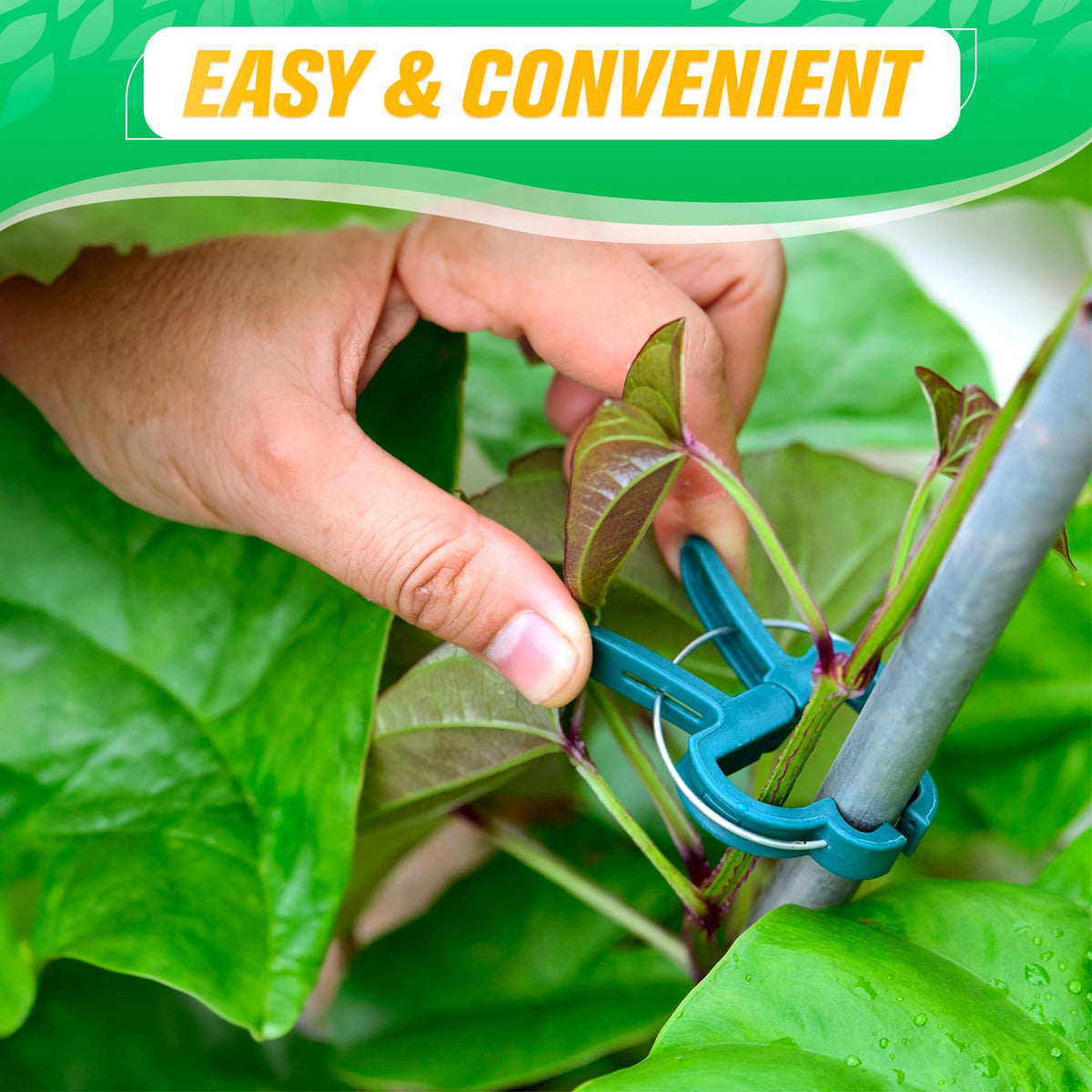 DIMROM clip supports delicate stems with a plant-friendly grip