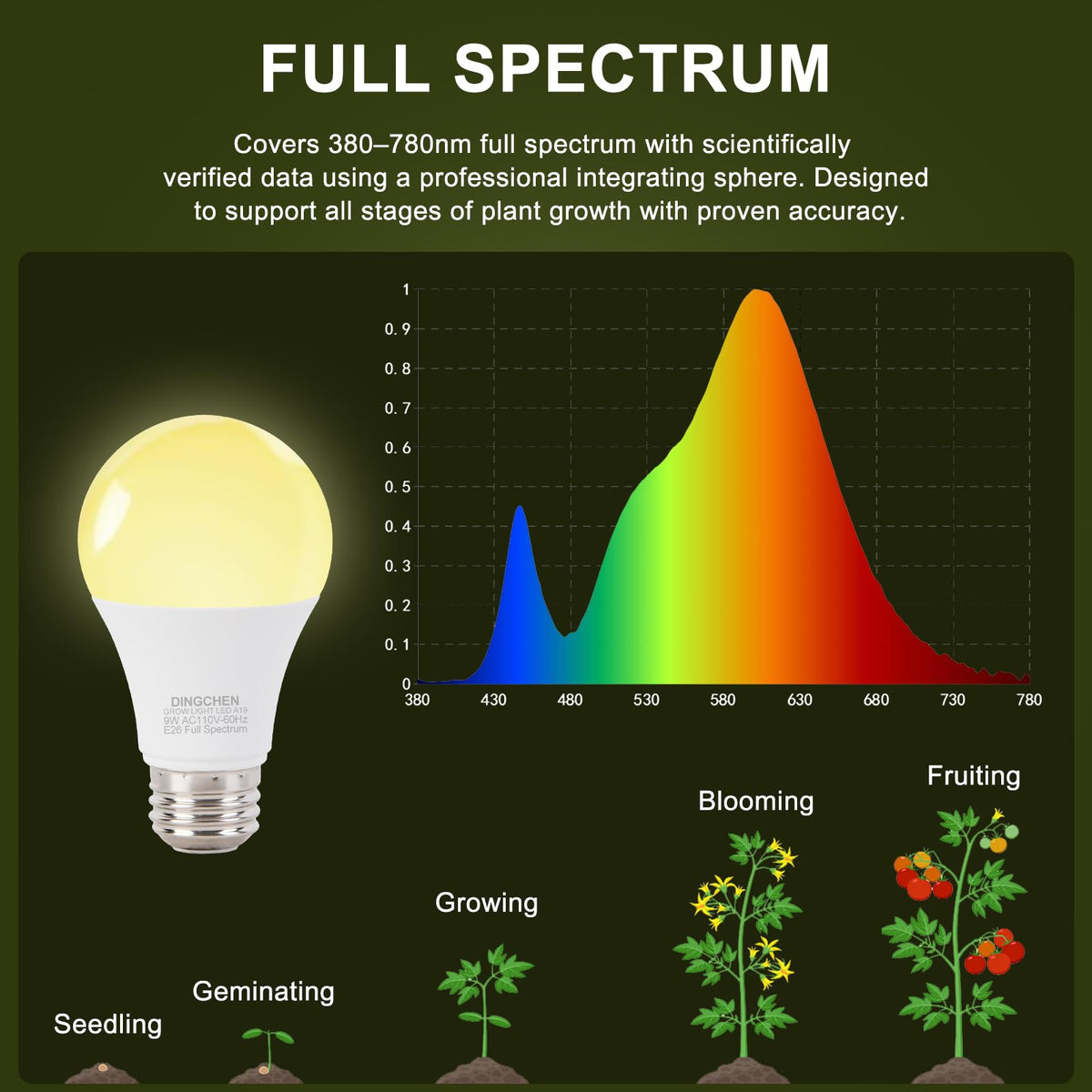 DingChen high-transmittance bulb design supports efficient photosynthesis in tight indoor gardens.