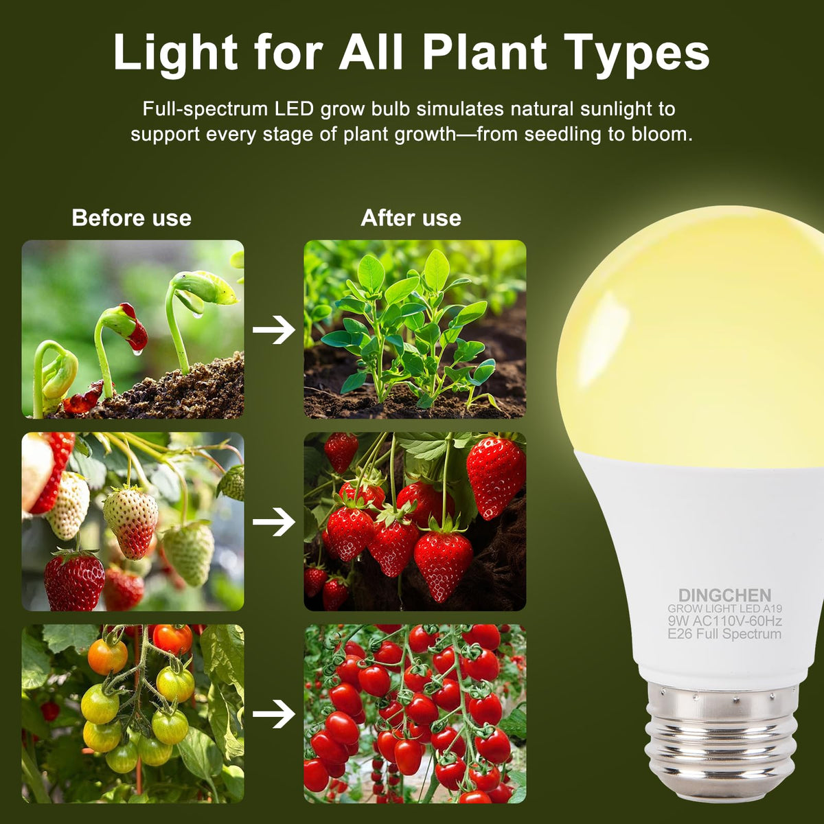 DingChen 9W LED with E26 base delivers 100W-equivalent output for robust seeding.