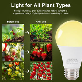 DingChen 9W LED with E26 base delivers 100W-equivalent output for robust seeding.