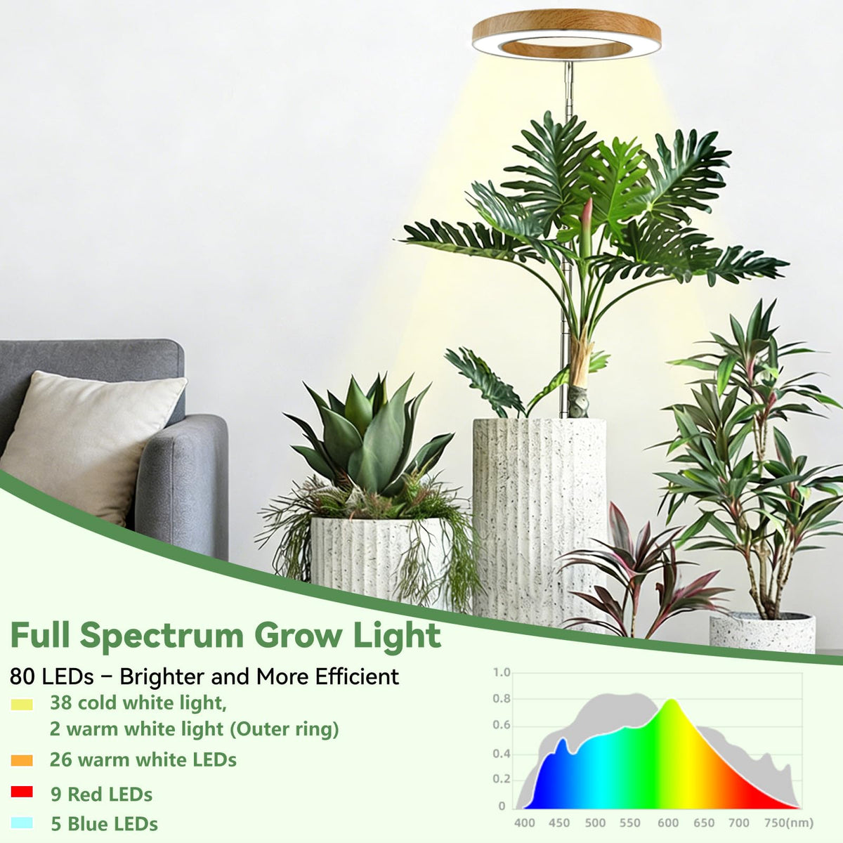 Dirciky height-adjustable frame fits small to large indoor plants
