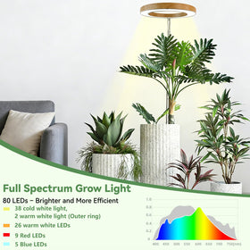 Dirciky height-adjustable frame fits small to large indoor plants