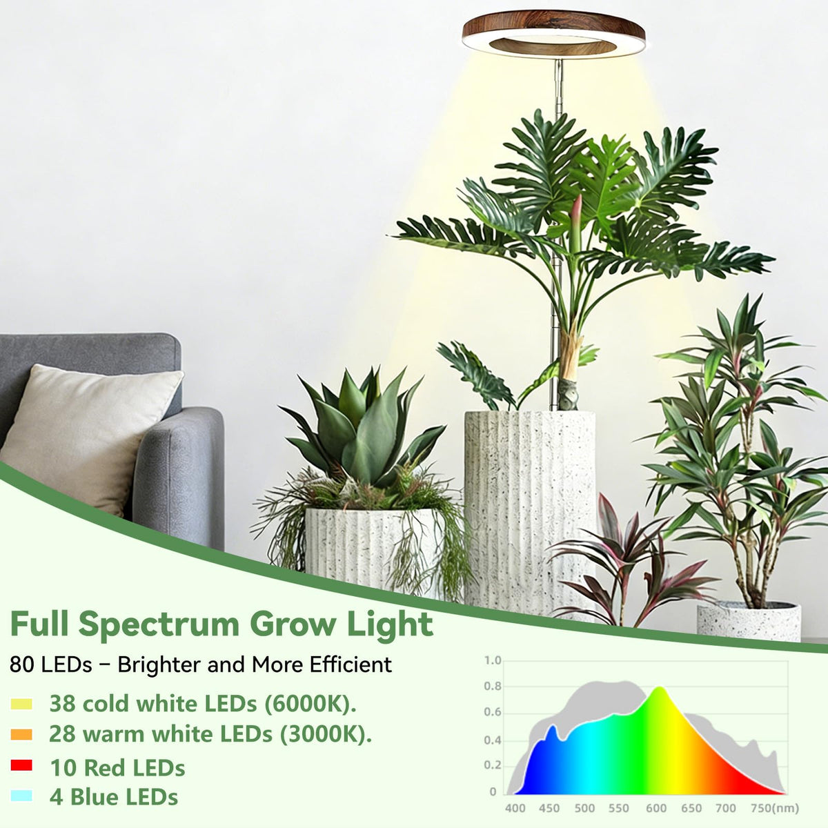 Dirciky wood-grain grow light easy soil insertion for quick setup.