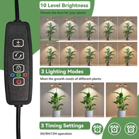 Dirciky wood-grain grow light with elegant faux woodgrain design.