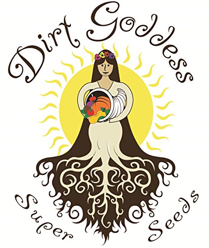 Dirt Goddess Super Seeds annual plant reaches 28-36 inches, creating vertical interest for borders and displays.
