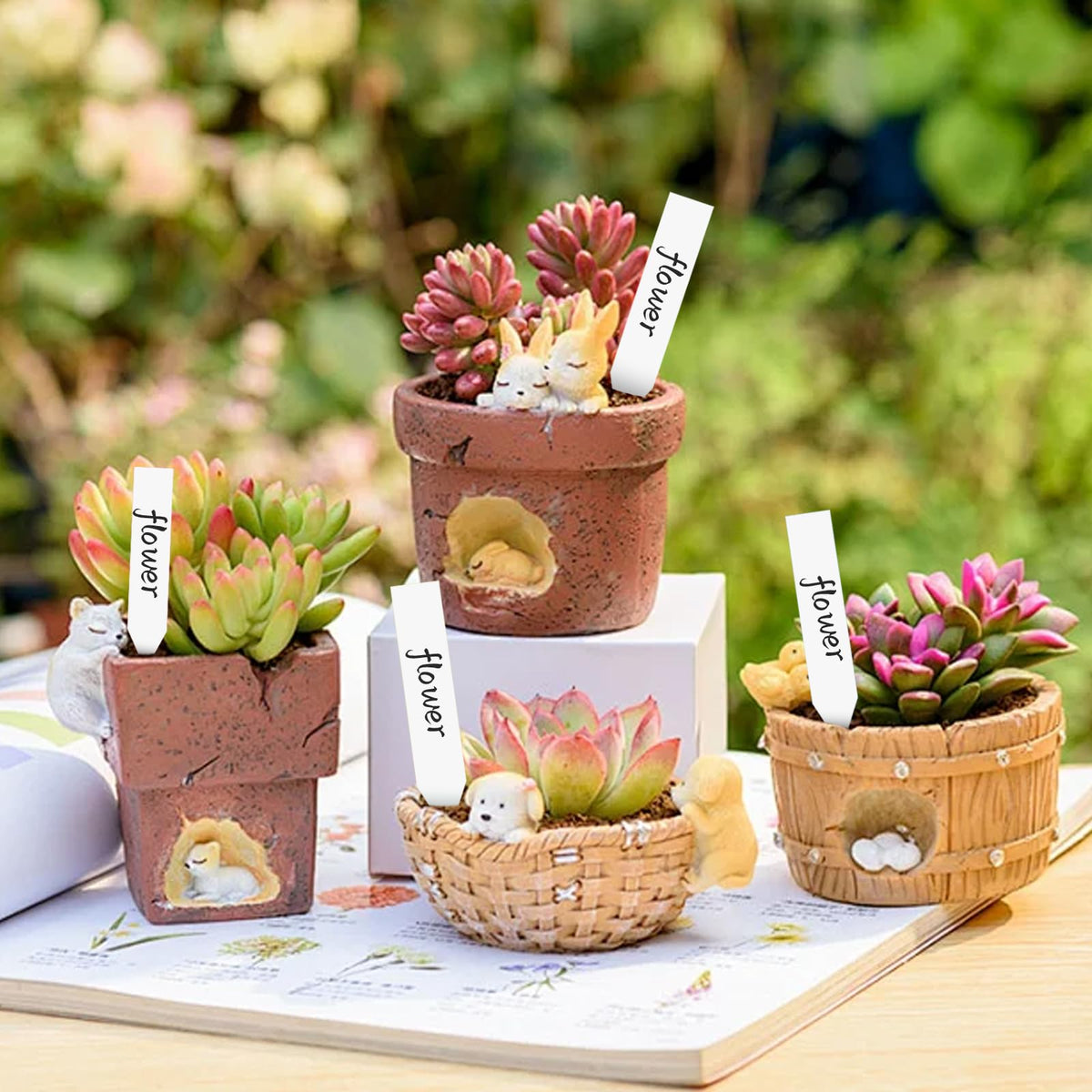 Diteryy outdoor garden signage supports clear plant identification.