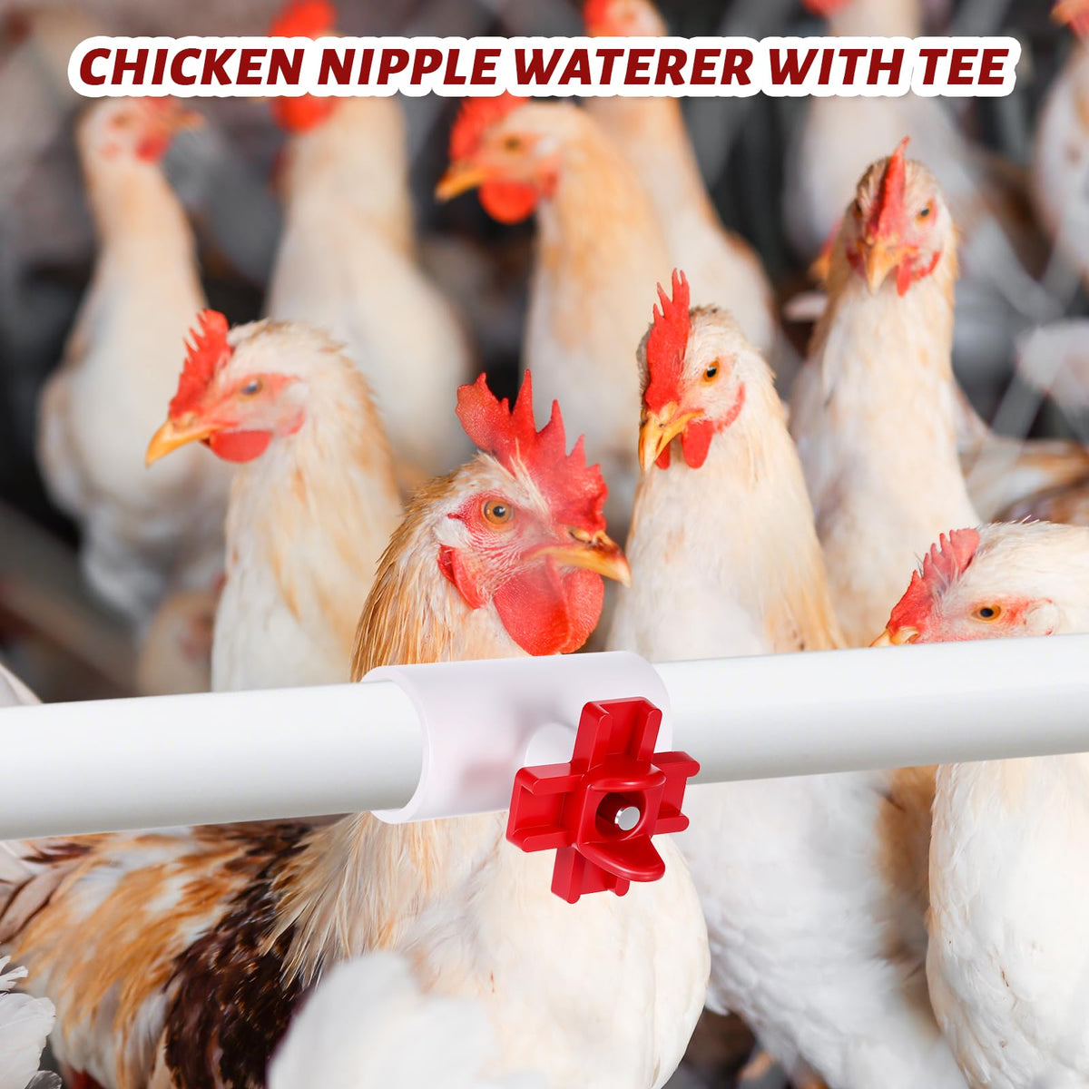 DIVINA VITAE kit includes nipples, tees, washers, and waterproof tape.