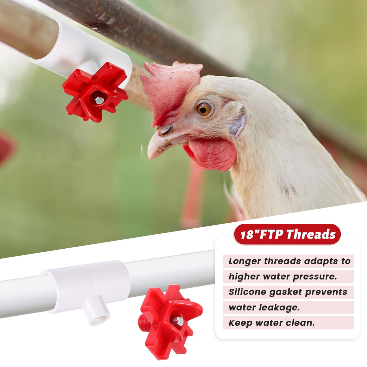 DIVINA VITAE rubber seal ensures leak-free operation in coop water lines.