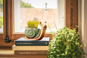 DIYOMR animal pot snail closeup showing glossy glaze and charm.