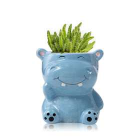 DIYOMR hippo planter front view for small succulents