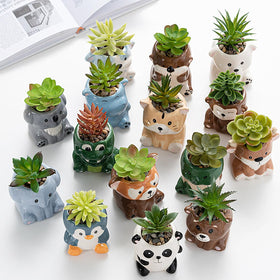DIYOMR hippo pot features drainage-friendly design