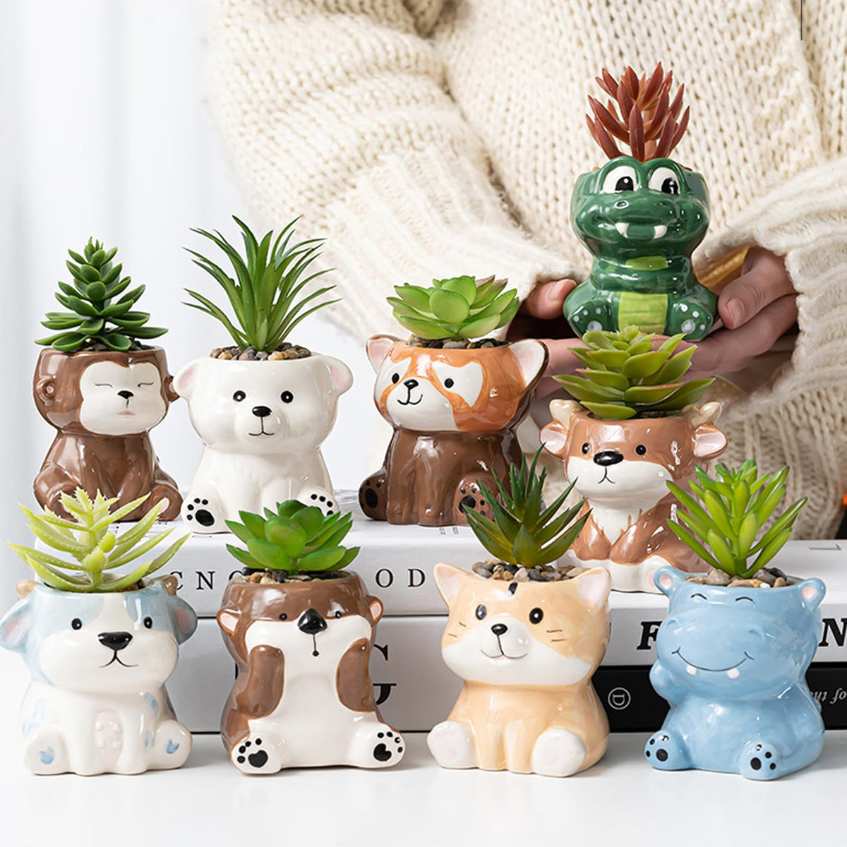DIYOMR hippo succulent pot on a desk