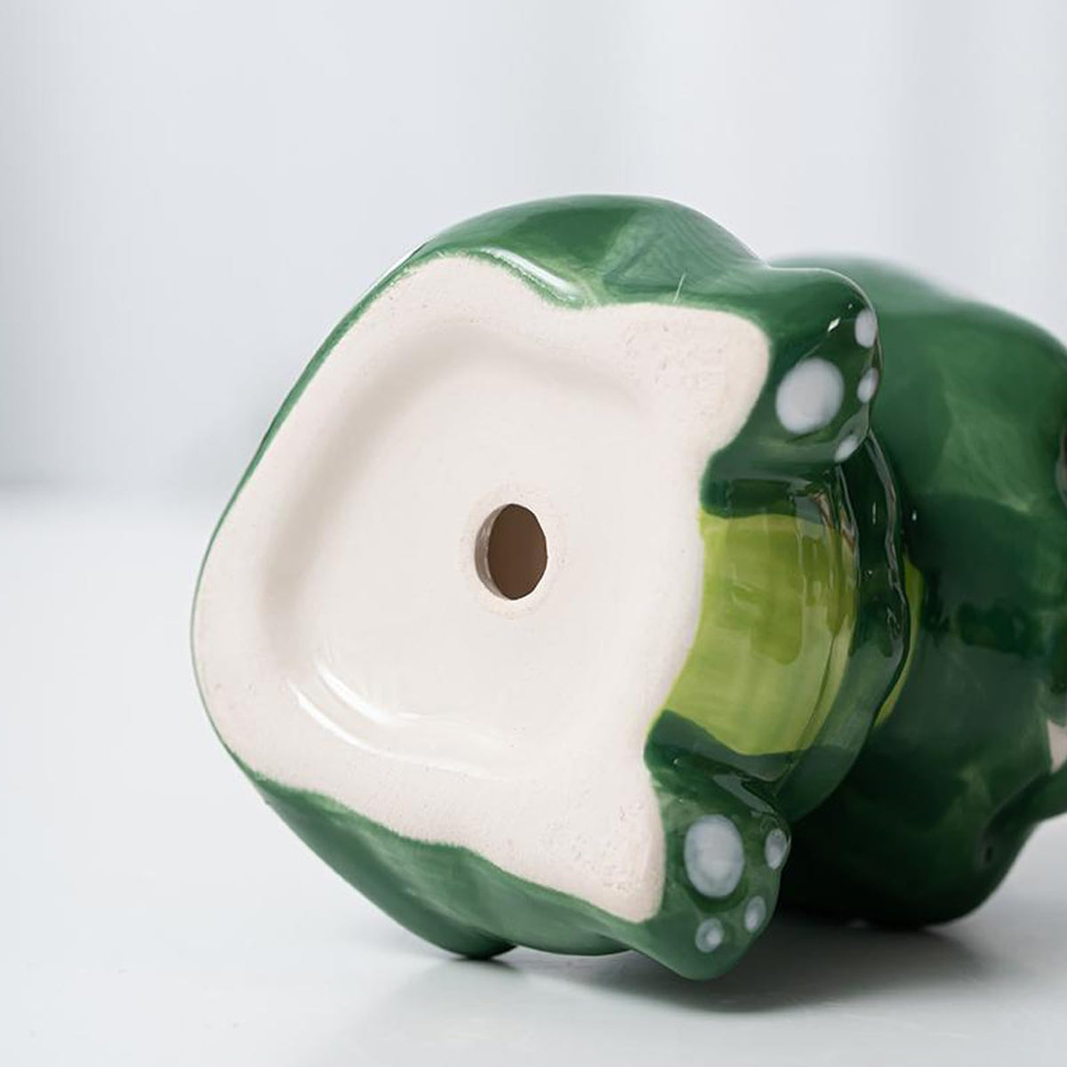 DIYOMR Packaging for Otter Planter presents a charming gift-ready look.