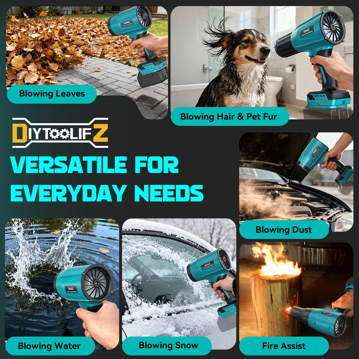 DIYtoolifz blower versatile for dust, pet hair, snow, and puddles.