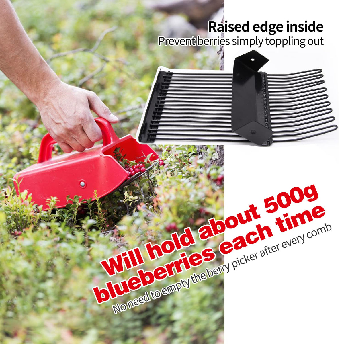 DKOVN Berry Picker raised rim helps prevent berries from falling