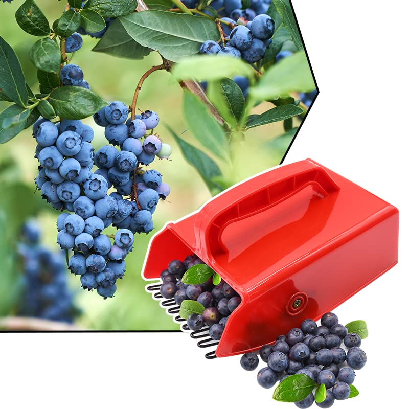 DKOVN Berry Picker lightweight and portable for garden harvests