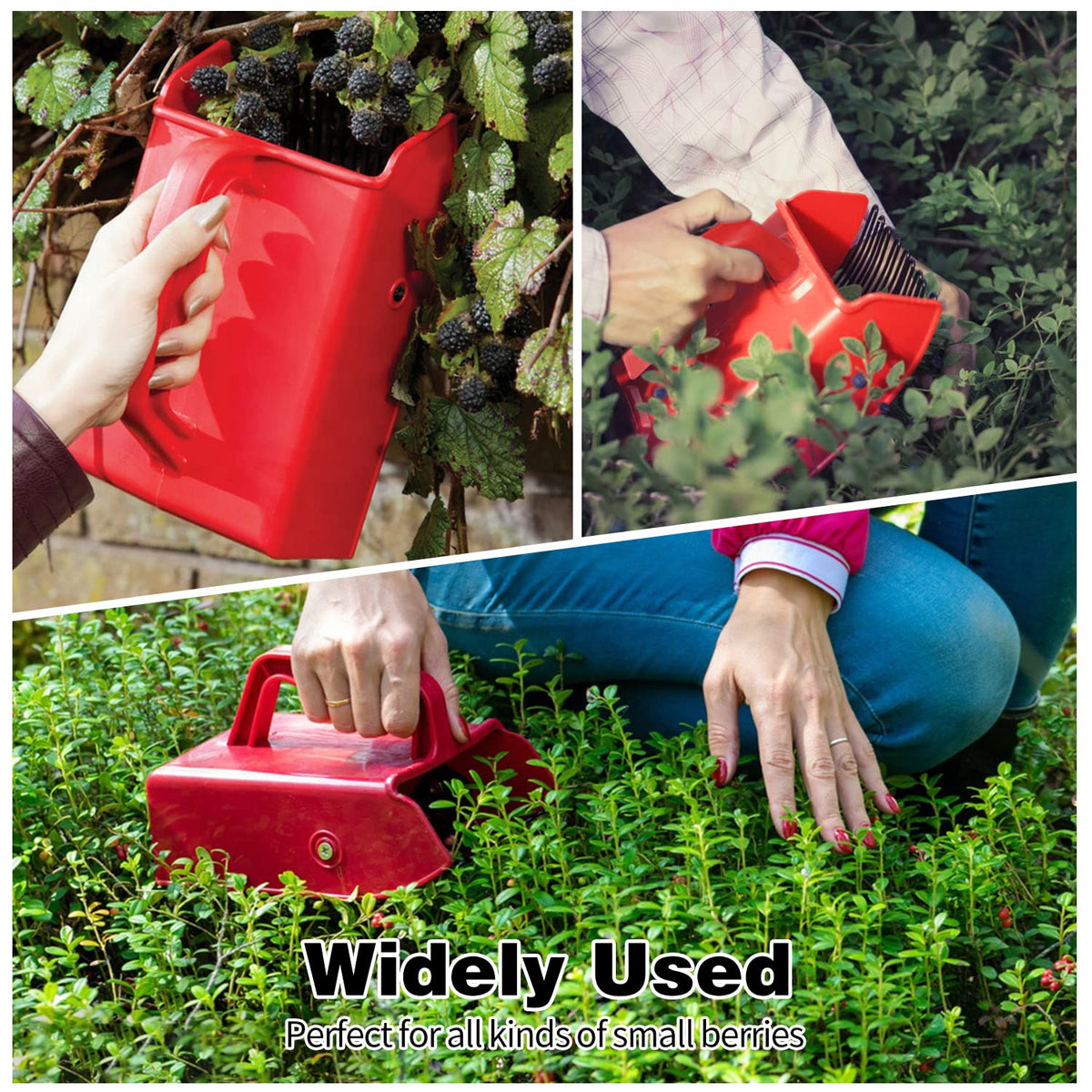 DKOVN Berry Picker versatile for blueberries lingonberries and more