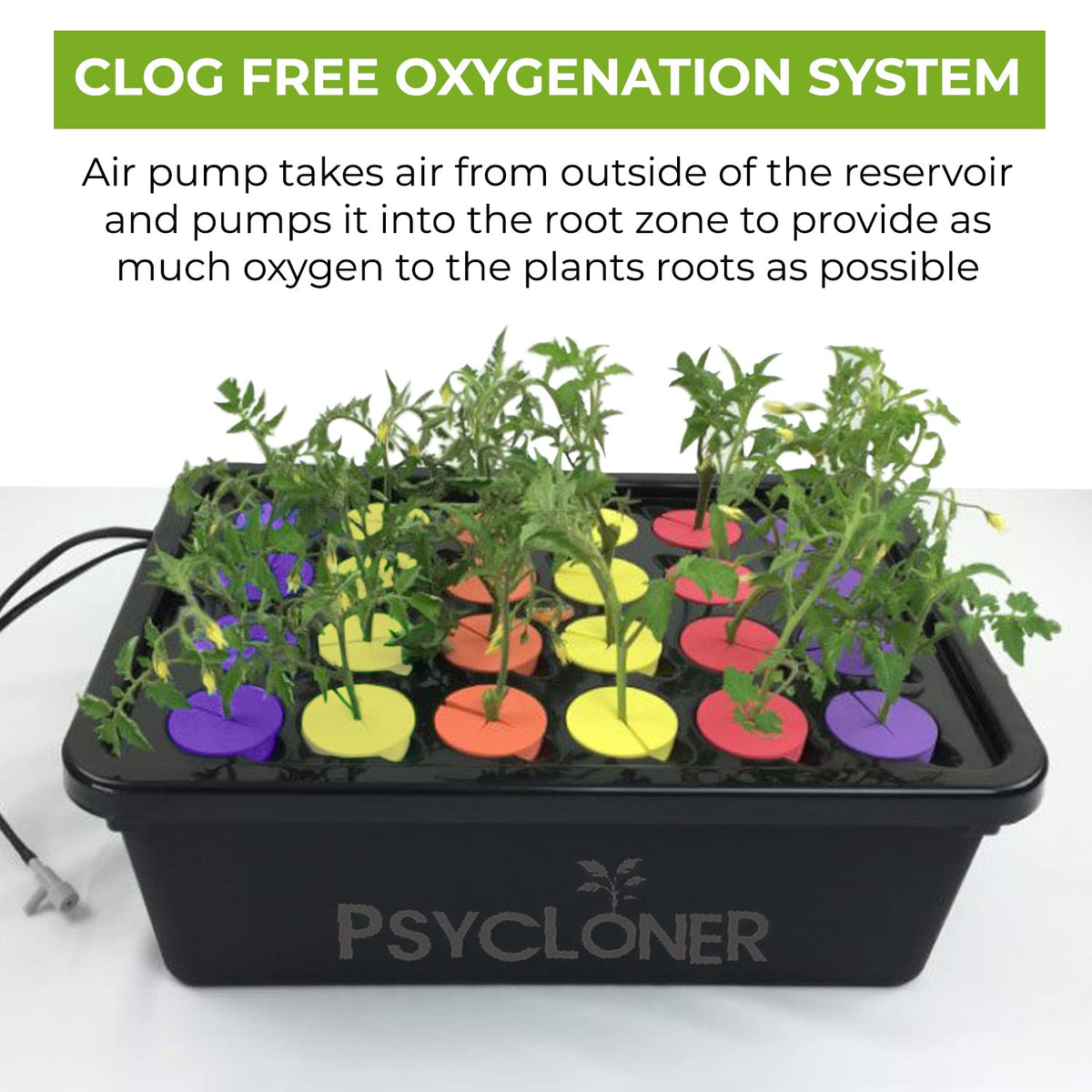 DL Wholesale Psycloner easy-setup scene shows quick assembly in minutes.