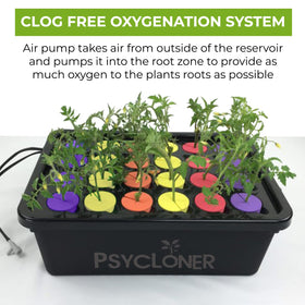 DL Wholesale Psycloner easy-setup scene shows quick assembly in minutes.