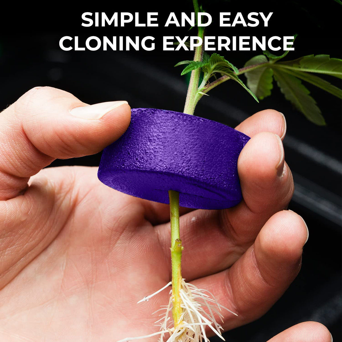 DL Wholesale Psycloner space-saving design highlights efficient footprint.