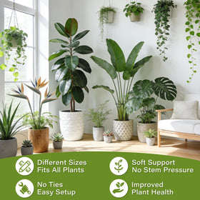 DLEHSRUU versatile plant stakes suitable for vines, foliage, and flowers