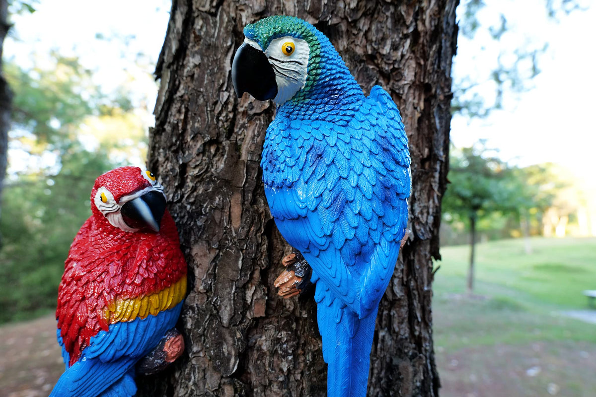 Dlfghos lifelike parrot wall art creates focal point in bedroom
