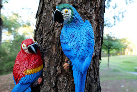 Dlfghos lifelike parrot wall art creates focal point in bedroom