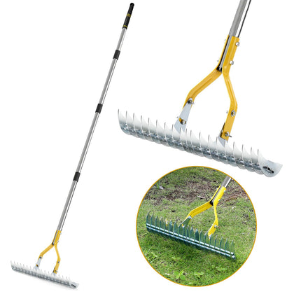DMHMXZ Thatch Rake with 19 curved tines for deep debris removal in lawns.