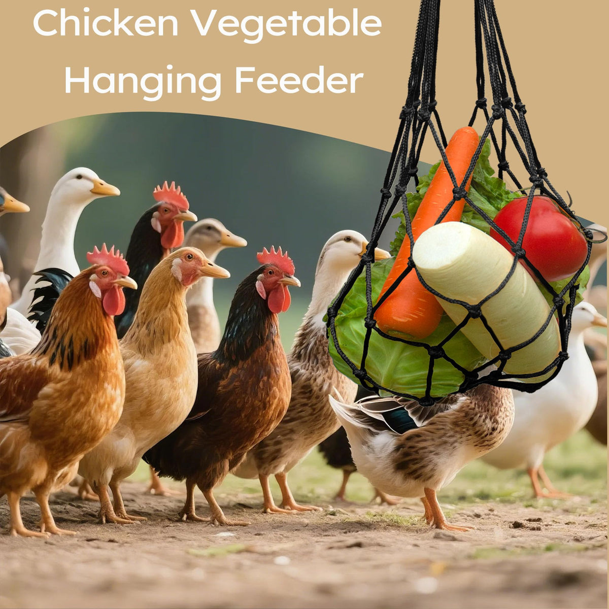 DMIMIA vegetable string bag feeder enables simple coop feeding and reduced waste