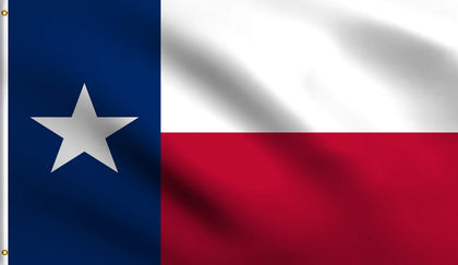 DMSE Texas State Flag front view with vibrant colors for porch or classroom display