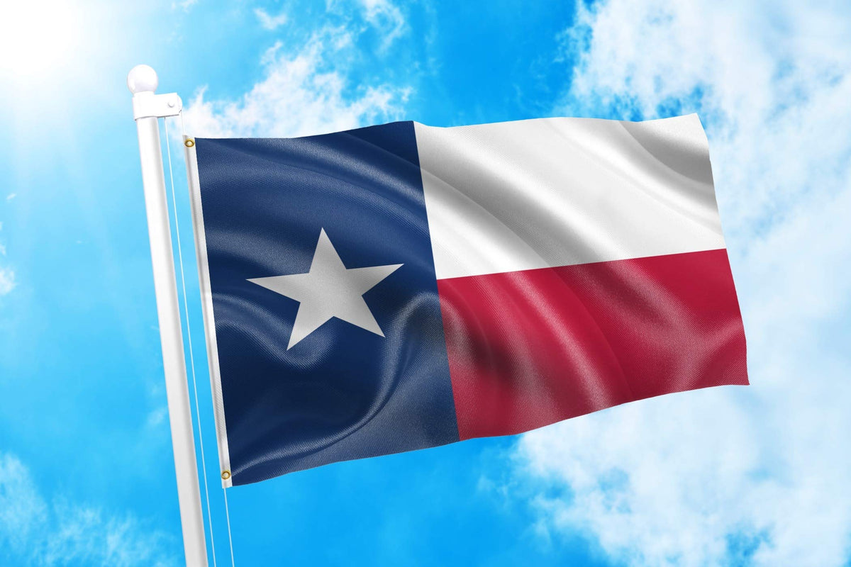 DMSE Texas State Flag seals detail showing crisp state crests for clear viewing