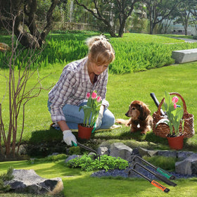 DMwespe multiuse garden tool for digging, planting, and weeding.