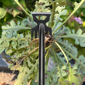 DMwespe weeder penetrates narrow spaces for effective weed removal.