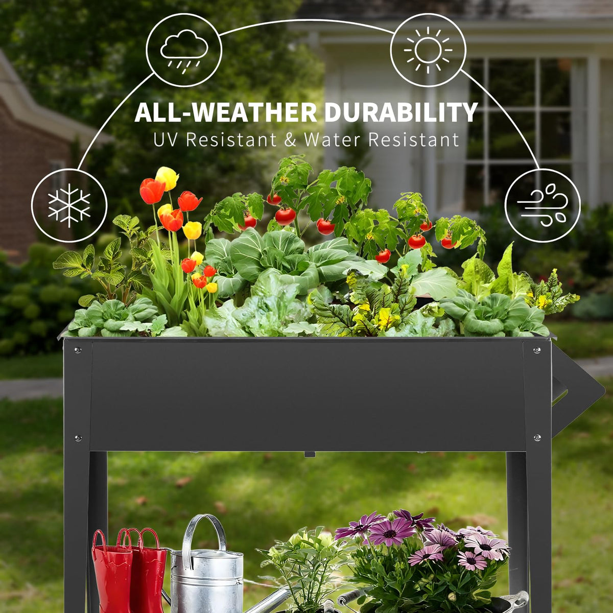 DNKMOR bed features 12 drainage holes for healthy roots