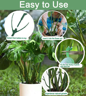DNUZEWR neat climbing plant display with green stakes