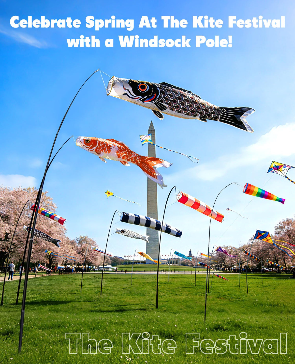 Docarbonfi Windsock Pole at RV campsite for wind direction reading