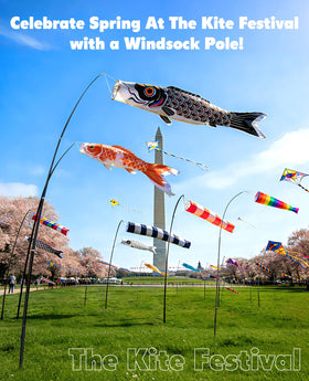 Docarbonfi Windsock Pole at RV campsite for wind direction reading