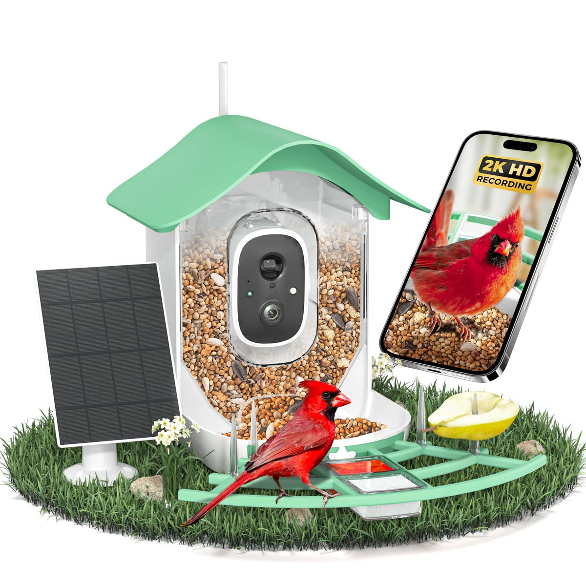 DOCOON bird feeder camera landing view for backyard monitoring