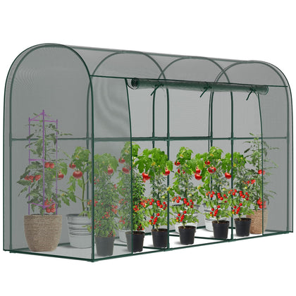 DoCred crop cage garden setup interior, spacious for pruning and growth