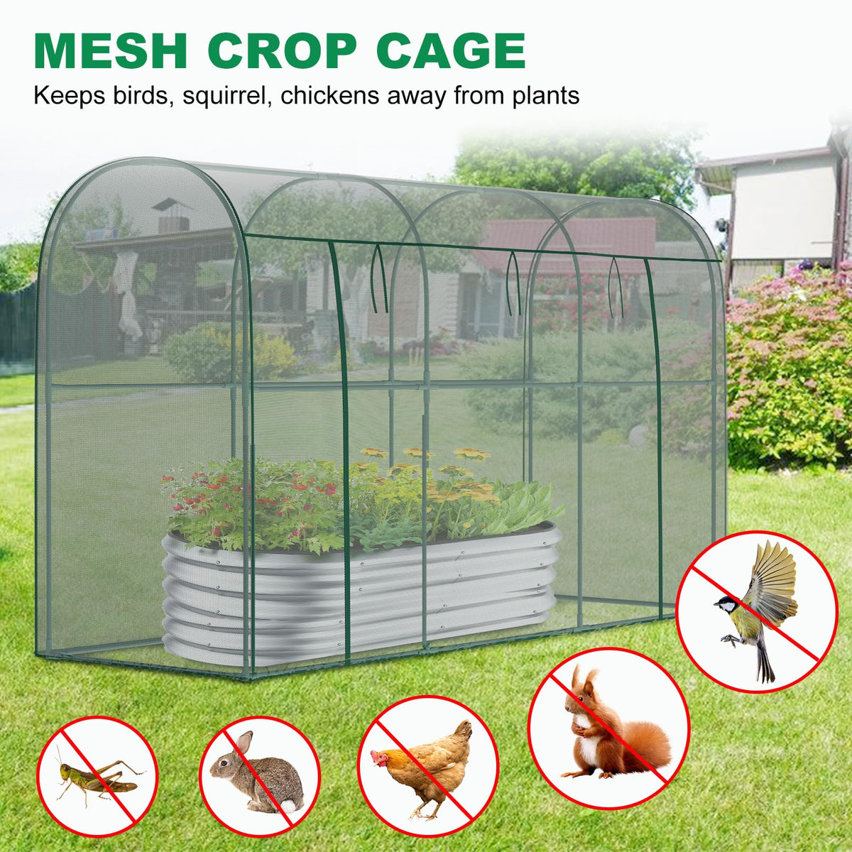 DoCred crop cage steel frame highlights sturdy construction and rust resistance