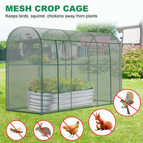 DoCred crop cage steel frame highlights sturdy construction and rust resistance