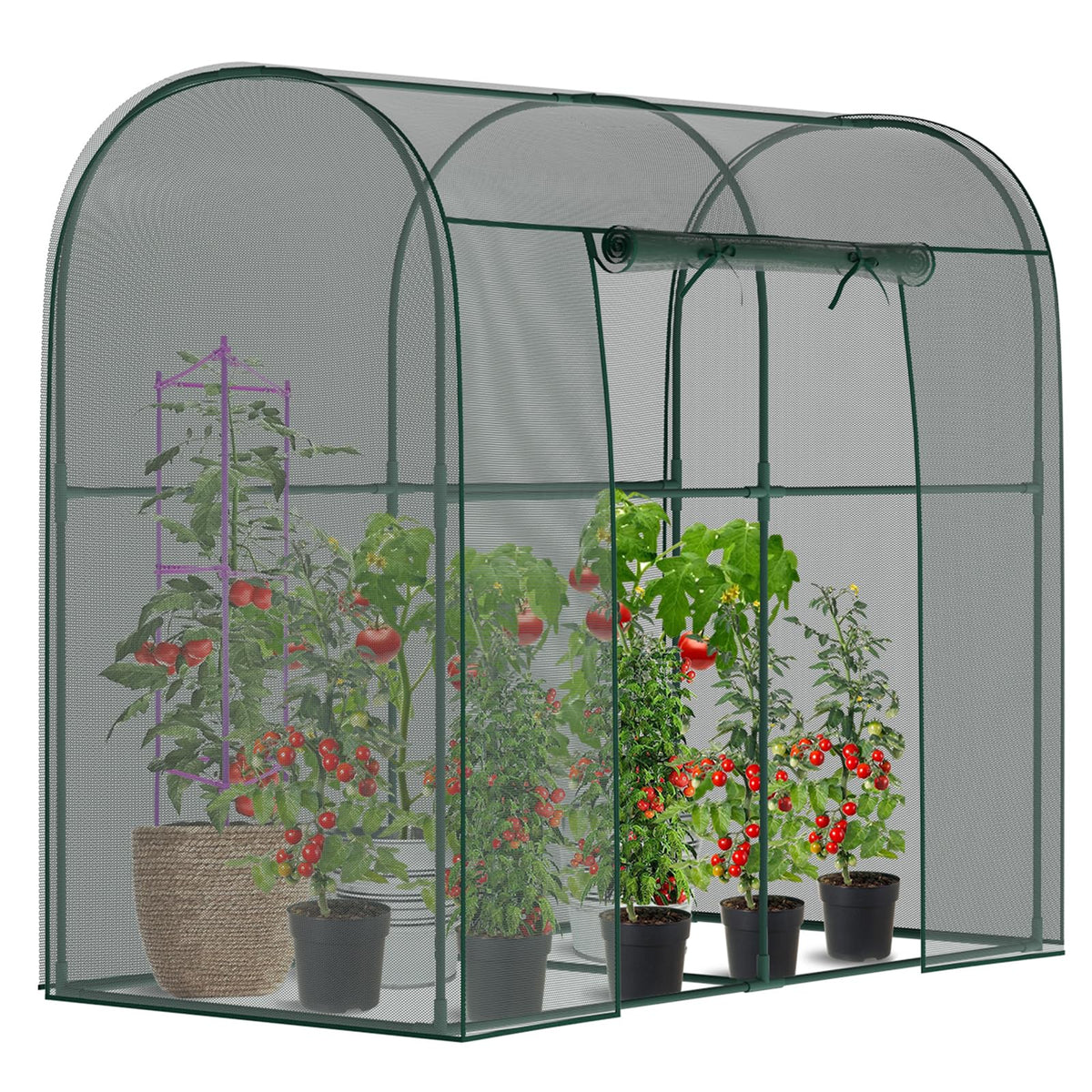 DoCred crop cage garden setup shows spacious frame for thriving plants