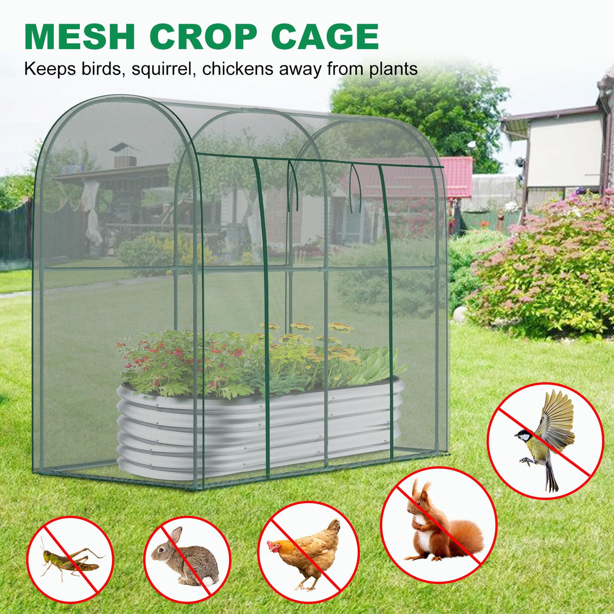 DoCred crop cages steel frame closeup highlights rust-resistant tubing and sturdy support