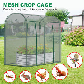 DoCred crop cages steel frame closeup highlights rust-resistant tubing and sturdy support