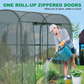 DoCred crop cages walk-in door provides easy access during pruning and harvest